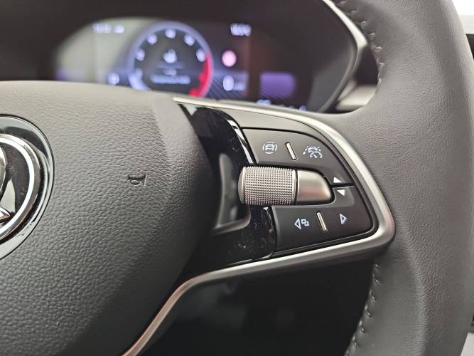 Fabia 1.0 TSI 116 ch EVO 2 DSG7