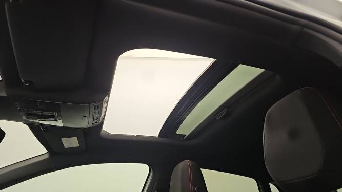 Polo 2.0 TSI 207 S&amp;S DSG7