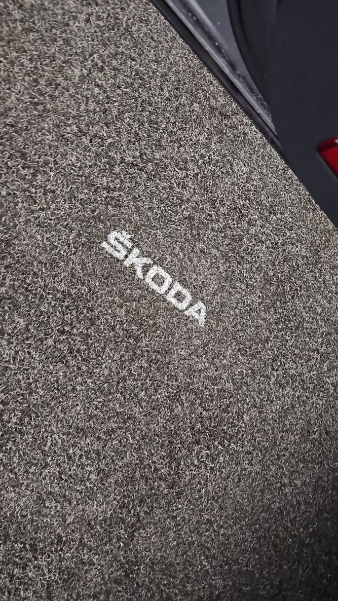 Karoq 2.0 TDI 116 ch SCR DSG7