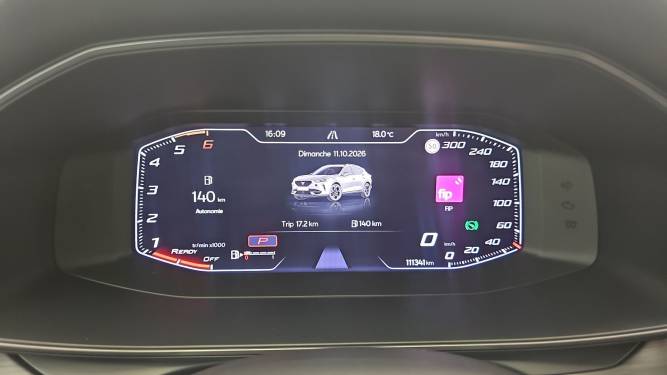 Formentor 2.0 TDI 150 ch DSG7 4Drive