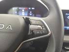 Fabia 1.0 TSI 116 ch EVO 2 DSG7