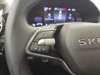 Fabia 1.0 TSI 116 ch EVO 2 DSG7