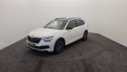 Kamiq 1.0 TSI Evo 110 ch DSG7