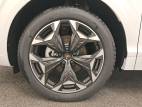 Terramar 1.5 eTSI Hybrid 150 ch DSG7