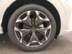 Terramar 1.5 eTSI Hybrid 150 ch DSG7