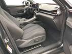 Terramar 1.5 eHybrid 204 ch DSG6