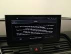 Q5 50 TFSIe 299 S tronic 7 Quattro