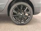 Arona 1.0 TSI 115 ch Start/Stop DSG7