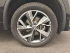 Kodiaq 2.0 TDI 150 SCR DSG7 5pl