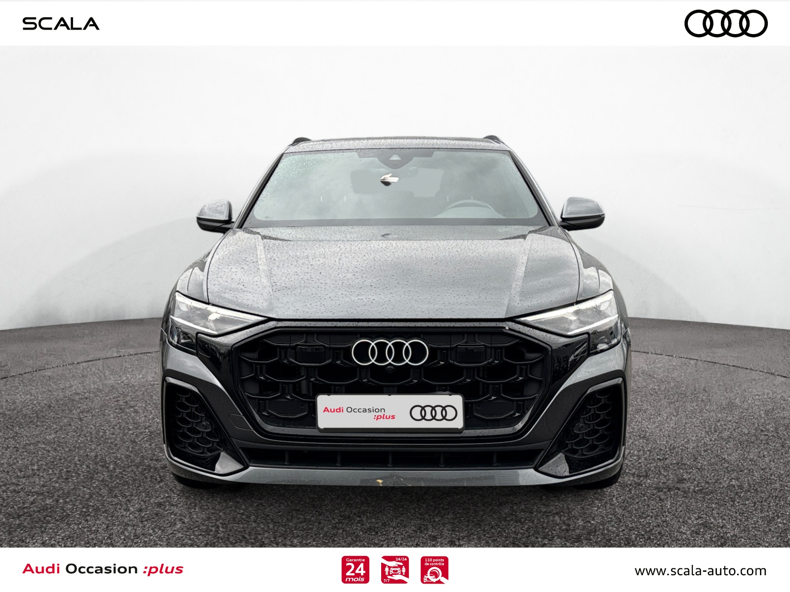 AUDI Q8 FACE+AVANT